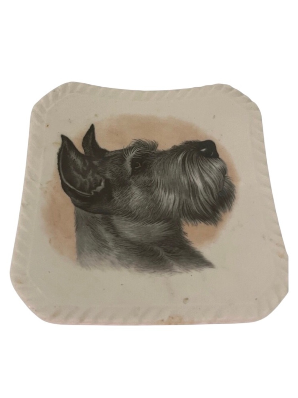 Royal Adderley Floral Bone China Schnauzer trinket dish. Made in England